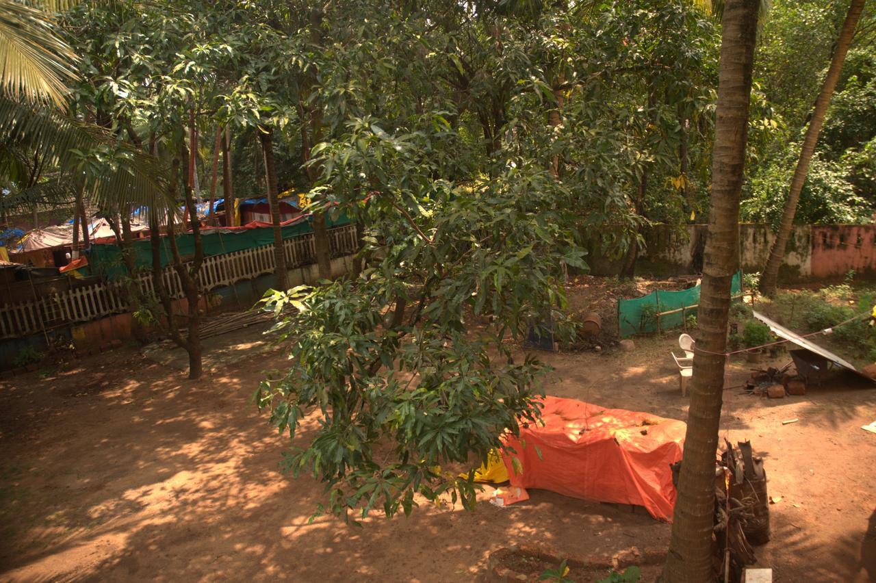 أرامبول Namahstay Eco Hostel & Coworking & Art Community Space المظهر الخارجي الصورة
